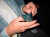 Angus raids Claire's purse